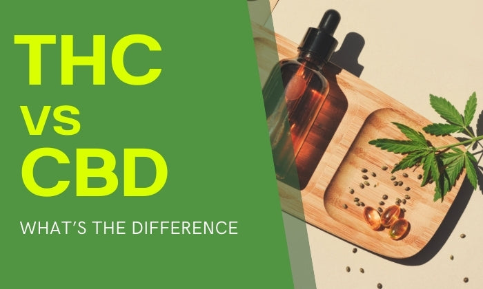 CBD vs THC: The Surprising Differences