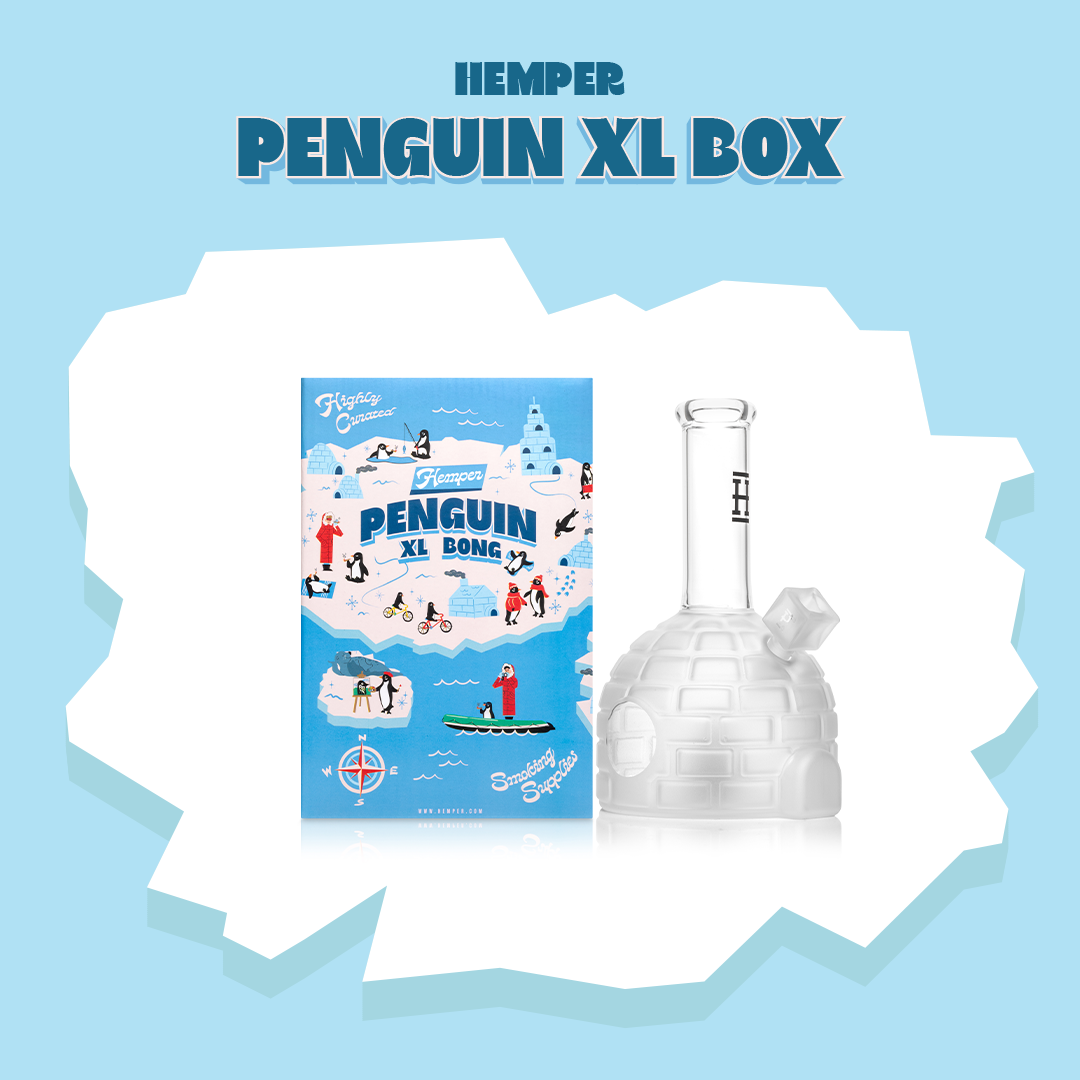 Hemper - Penguin Ingloo XL Bong Box