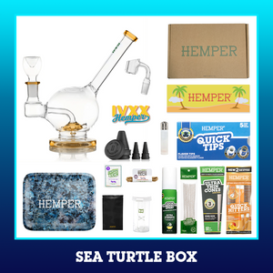 HEMPER - Sea Turtle Bong Box