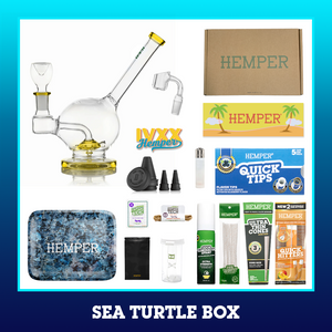 HEMPER - Sea Turtle Bong Box