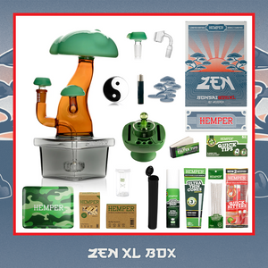 Hemper - Bonsai Tree XL Bong | Zen Box