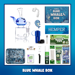 HEMPER - Blue Whale Bong Box