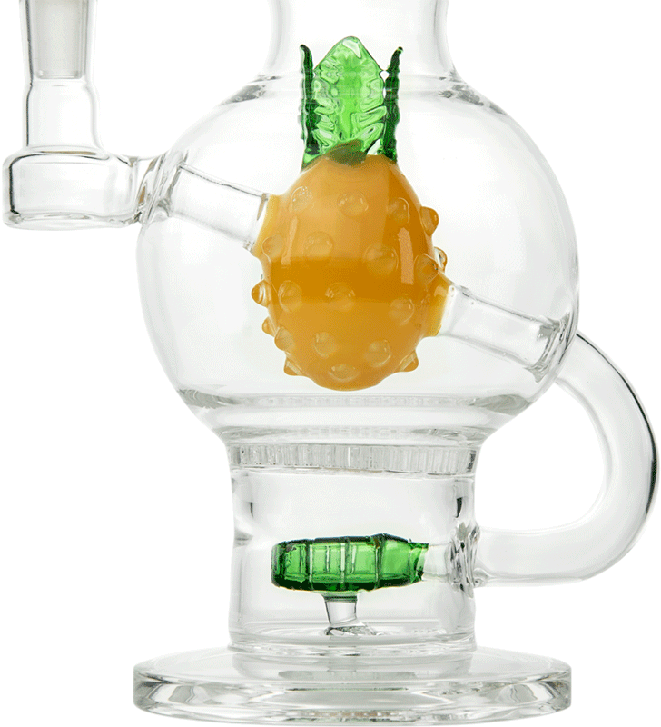 The 11 Best Bongs You Can Buy for Smoking Weed